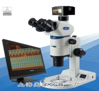 連續(xù)變倍體視顯微鏡(研究級)SM7